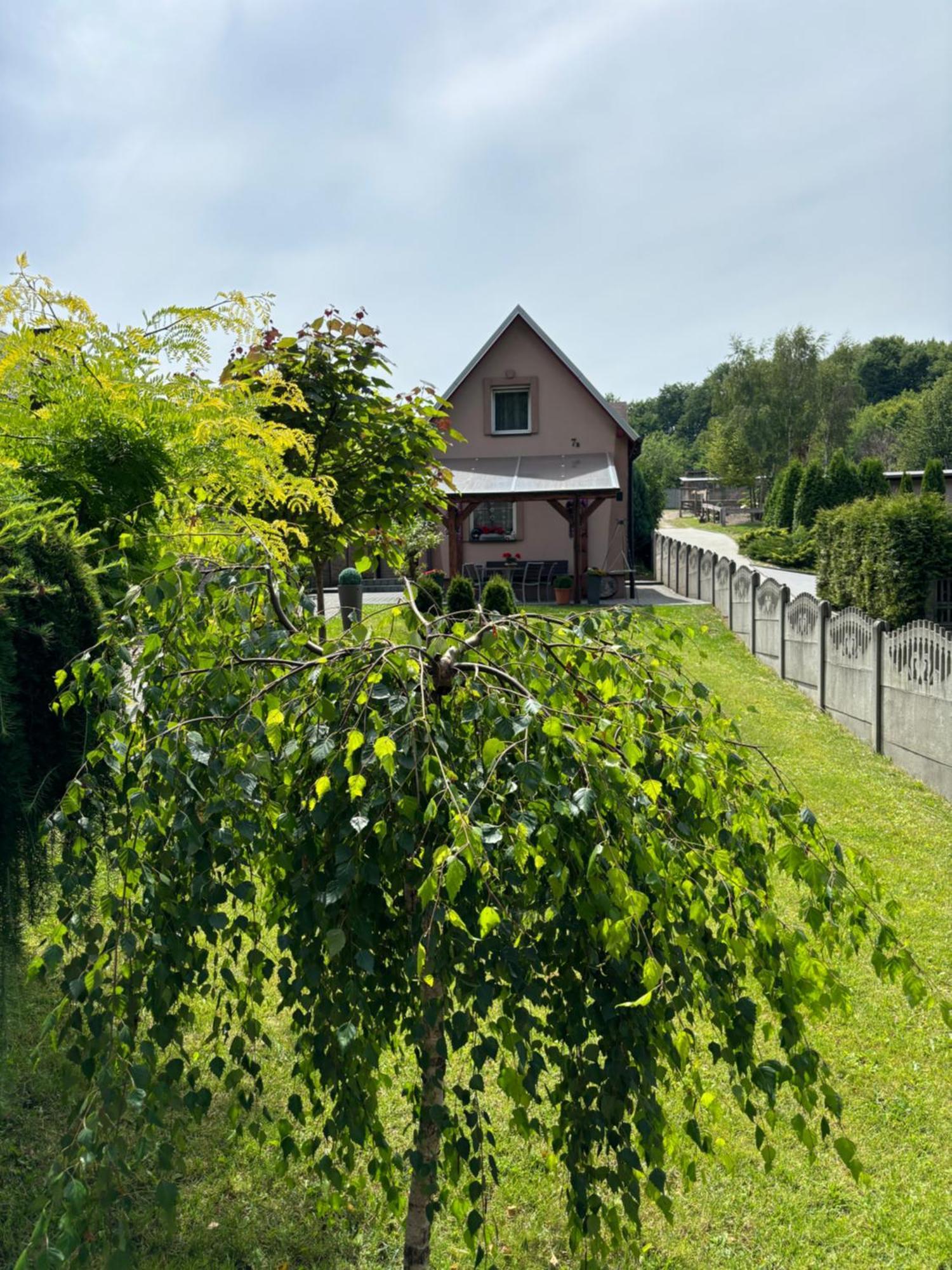 Agroturystyka ‚U Misia' Krzywoploty  Exterior photo